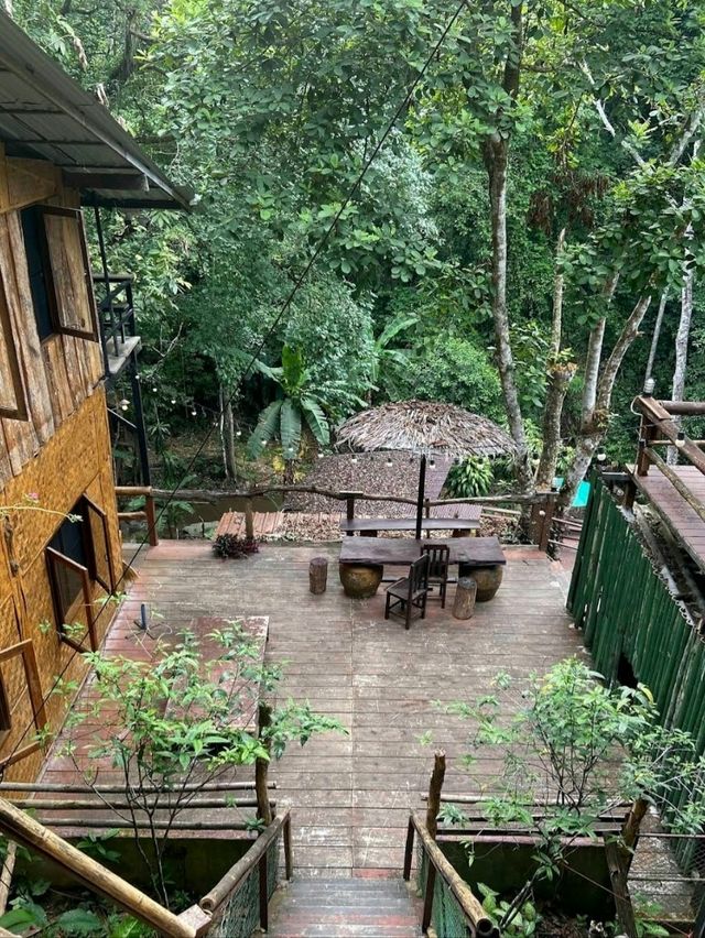 เข้าป่าฤดูฝนเที่ยวบน บ้านต้นไม้ แม่แมะ - เชียงดาว