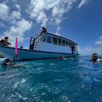 The ACQUA ADVENTURES RASDHOO | DIVING CENTER