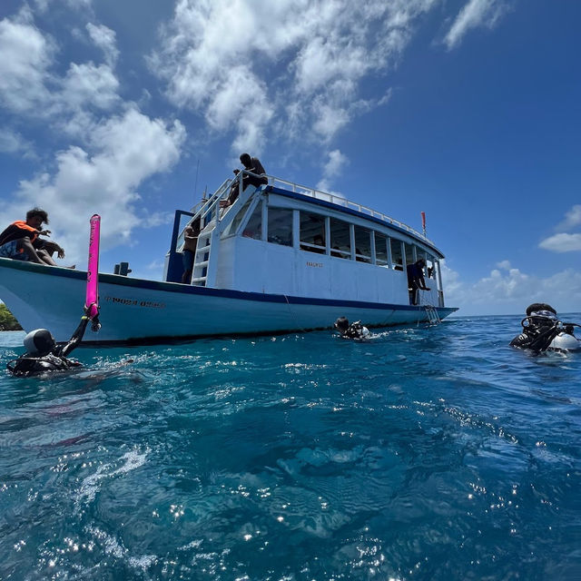 The ACQUA ADVENTURES RASDHOO | DIVING CENTER