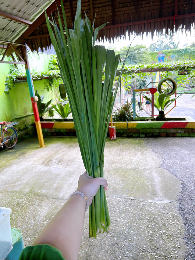 Feeding Cute Animals at BSL Ecofarm