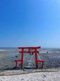 海に浮かぶ鳥居⛩️