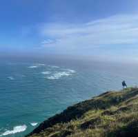In New Zealand  Northernmost