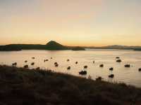 Discover the Enchanting Beauty of Komodo Island: A Sunset to Remember