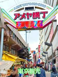 東京　東京観光　絶対に外せない観光スポット　アメヤ横丁に行ってきた！