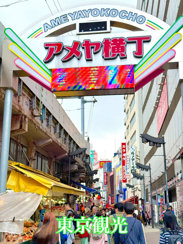 東京　東京観光　絶対に外せない観光スポット　アメヤ横丁に行ってきた！