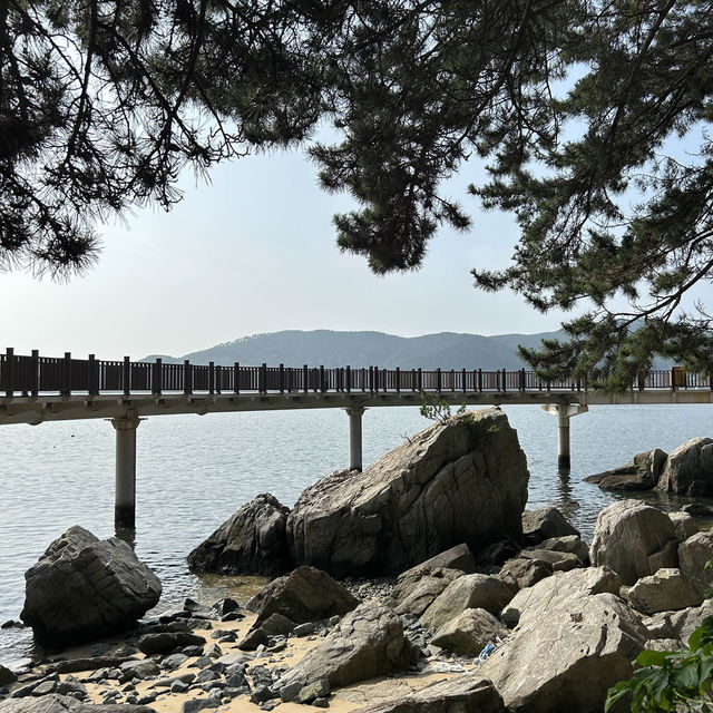 거제도의 해안산책길은 이곳, 소노캄 거제☀️