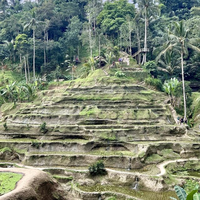 德格拉朗梯田-輕鬆拍出壯麗的風景照，世界文化遺產