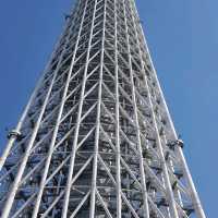 【東京】5天4夜富士山和輕井澤行程規劃