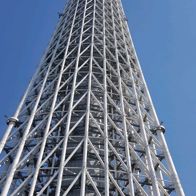 【東京】5天4夜富士山和輕井澤行程規劃