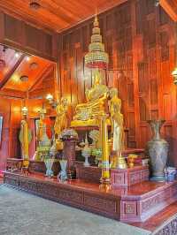 วัดป่าคลอง ๑๑ 🙏 