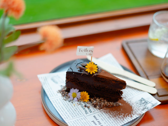 ปักหมุด!! จุดเช็คอินเขาใหญ่ Tellus Cafe