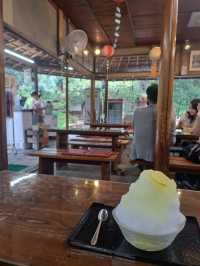 【うどん県】深夜便で行くフェリー旅♪