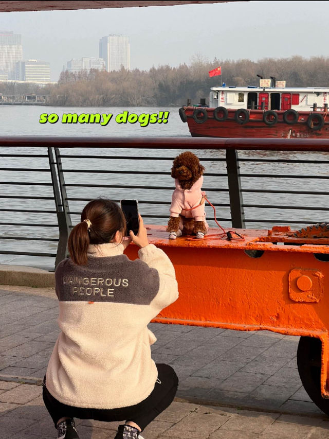 Hang out at the West Bund on a Sunny Day 🌞