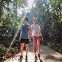 Explore & Hike 🇸🇬 Tallest Hill in Bukit Timah 