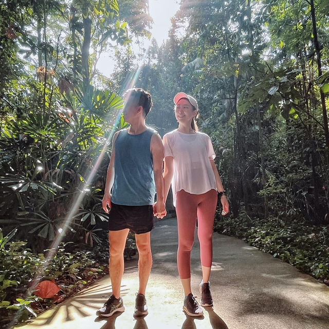 Explore & Hike 🇸🇬 Tallest Hill in Bukit Timah 