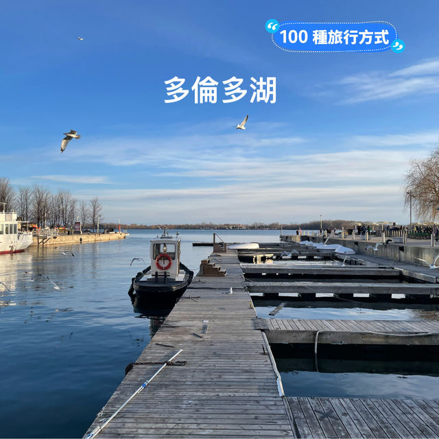 【冬日多倫多】獨特魅力，感受北美城市的溫暖