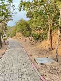 จุดชมวิวกังหันลม ณ เกาะล้าน