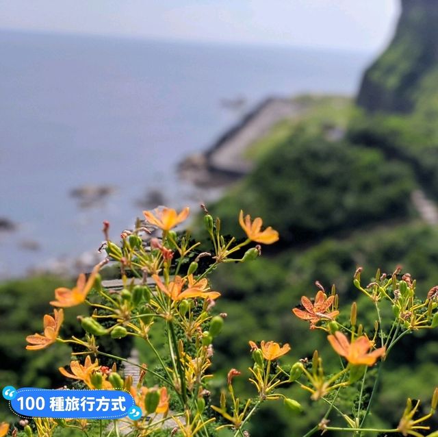 基隆-騎乘飛天掃帚，親子最愛的濱海景點：潮境公園