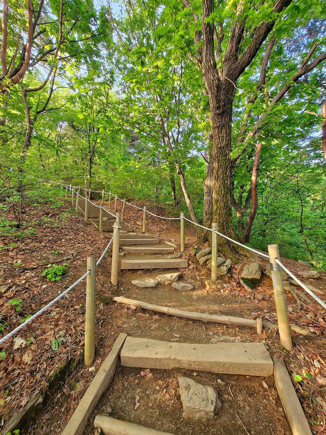 🪁🥕서울에서 등산하기 좋은 청계산