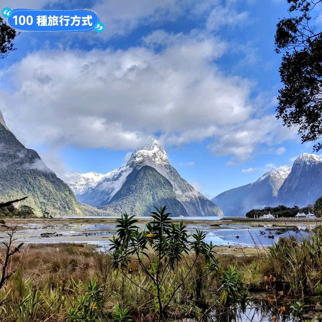 紐西蘭南島-Monkey Creek 欣賞可愛的啄羊鸚鵡