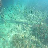 Escape to Paradise: Discover the Pristine Beauty of Pulau Rawa, Johor