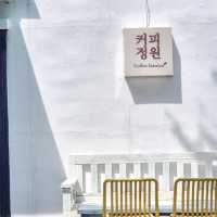 장미의 계절에는 꼭 가보셔요 강원도 삼척 [삼척 장미공원]