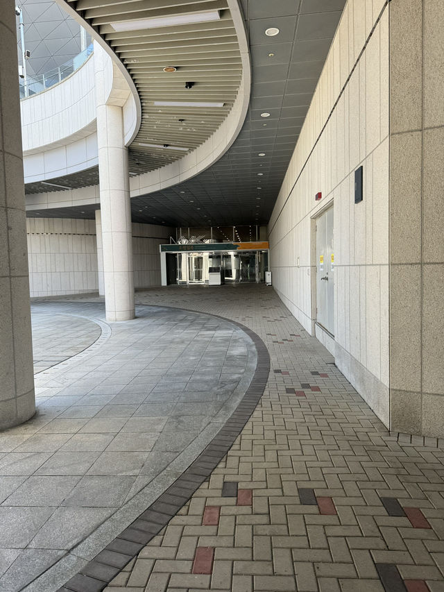 모던한 건축과 쾌적한 관람 환경 