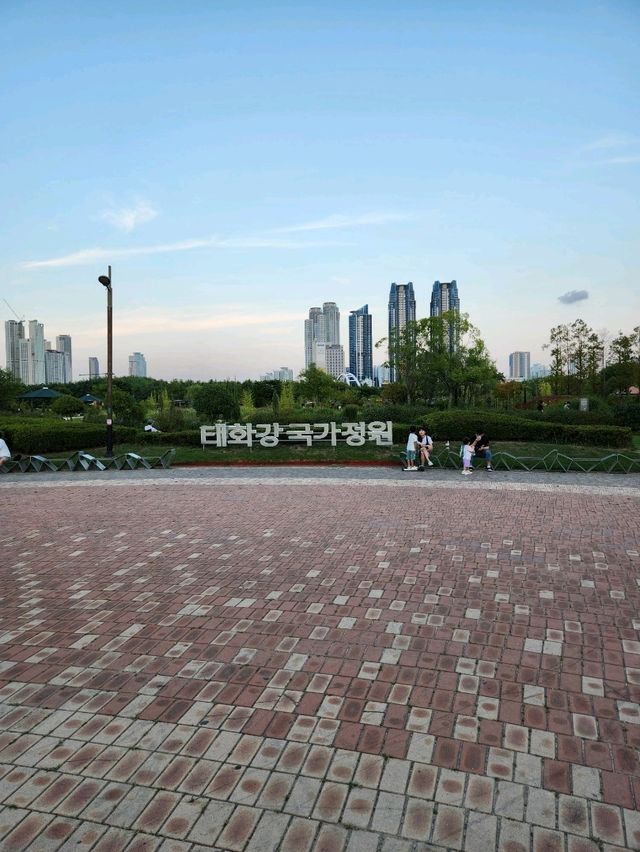 평화로운 야외데이트장소 태화강국가정원❤️