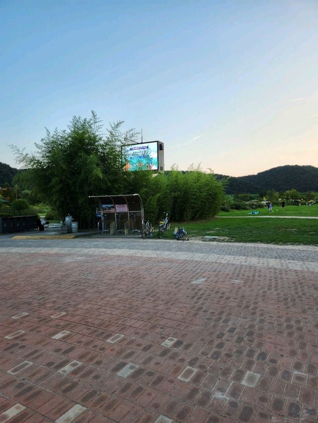 다양한 산책로가 있는 야외데이트장소 태화강국가정원❤️
