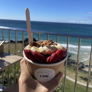 Gold Coast Ocean View: Whale Watching at Black Dingo Cafe