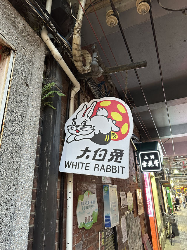 옛 프랑스 조계지 골목감성 그대로🖼️ 상해 티엔즈팡