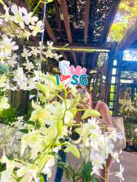 🇸🇬Flower Blossom at Singapore National Orchid Garden 🌺 