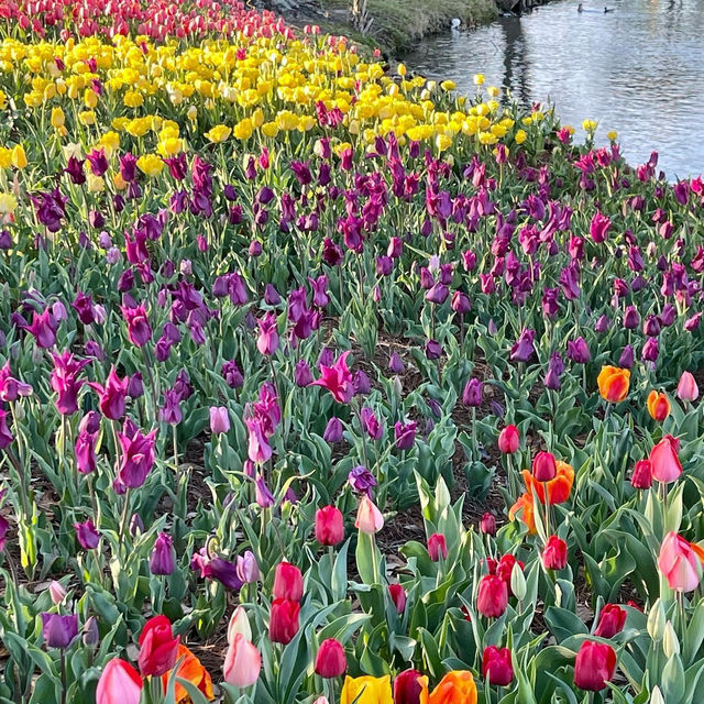 City Park: New Orleans’ Green Oasis