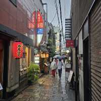 Hozenji Yokocho Alley