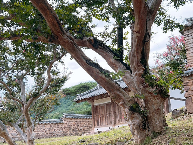 유네스코 세계유산 안동 병산서원