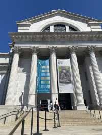 Meet the mammoth at Natural Museum