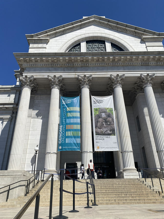 Meet the mammoth at Natural Museum