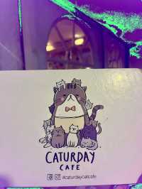 Caturday