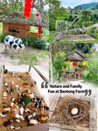 Nature and Family Fun at Bentong Farm