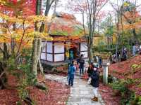 วัดโจจัคคุจิ (Jojakkoji Temple)