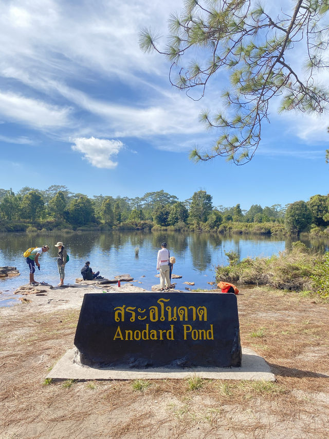 เดินป่าที่ภูกระดึง | จ.เลย 🚶🏻🌿🌳🥾
