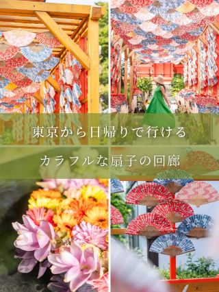 [Saitama Prefecture/Omiya] Just an hour from Tokyo! A hidden photo spot
