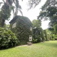 คาเฟ่โรงบ่ม เก๊าไม้ล้านนา 