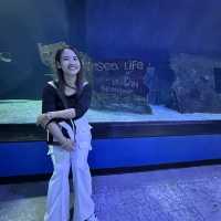 พิพิธภัณฑ์สัตว์น้ำเมืองปูซานะ🦑🦀🇰🇷