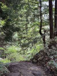 Magome Pass: Japan’s Most Famous Hiking Route 🥾