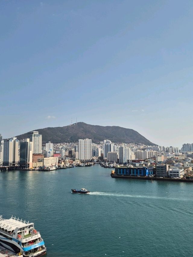 Jagalchi Seafood Market Busan 🦞🐟🐠🐚