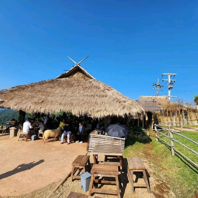 Akha Farmville 🐑