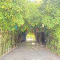 เที่ยวได้ทั้งปี ที่นี่ เขาใหญ่