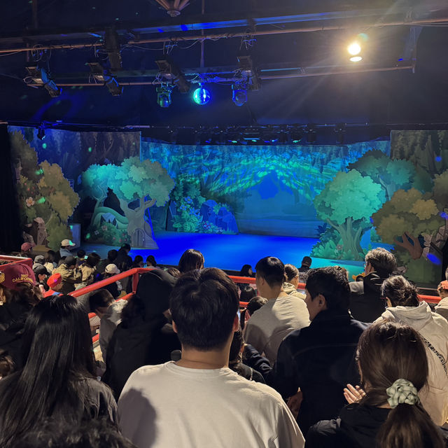 놀이동산 추천 과천 서울랜드 크리스마스 축제