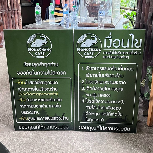 หมู่บ้านช้างที่ไม่ได้มีแค่ช้าง 🐘 